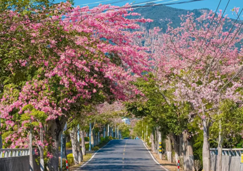 Hidden gems exploration